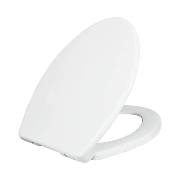 Mansfield SmartClose Elongated Soft Close Toilet Seat and Lid & Reviews